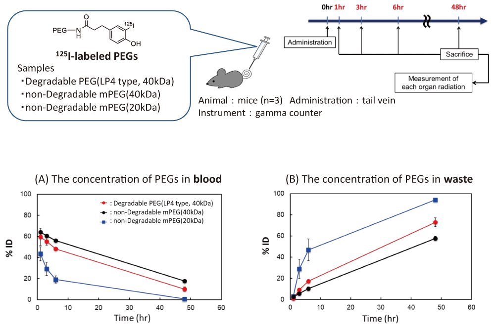 Pharmacokinetic test in vivo