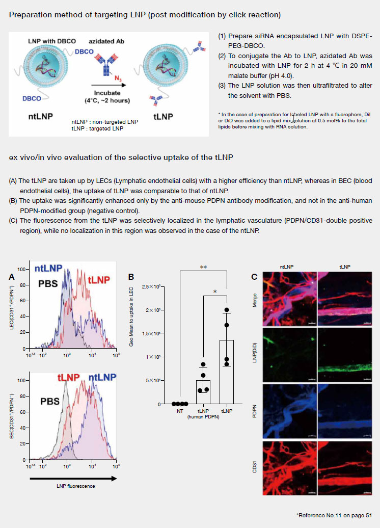 Example of Active Targeting to Lymphatic Endothelial Cells