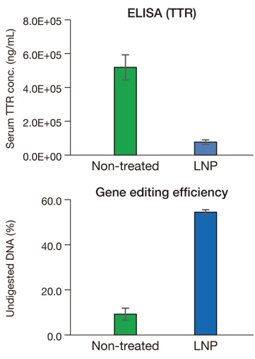 Gene editing (CRISPR/Cas9)