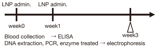 Gene editing (CRISPR/Cas9)