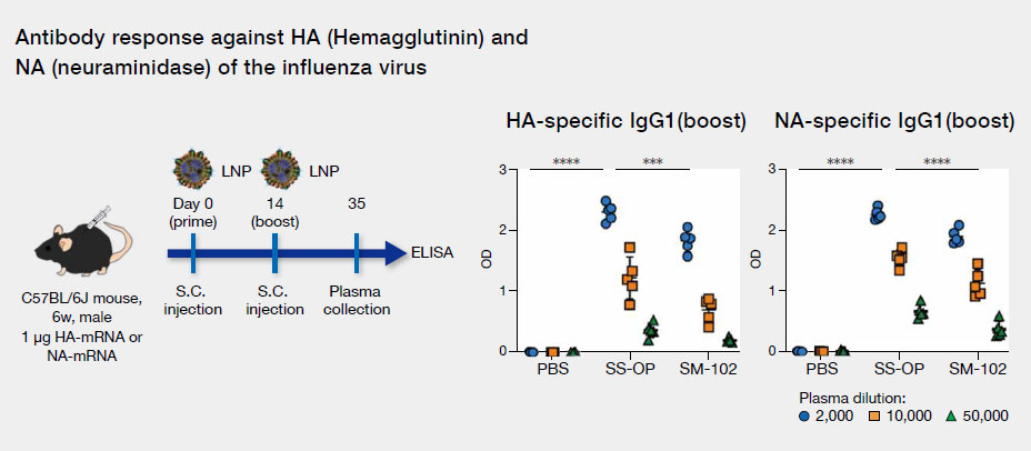 Low-inflammatory LNP-based mRNA vaccine