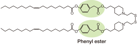 High degradable type COATSOME® SS-OP