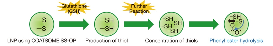 High degradable type COATSOME® SS-OP