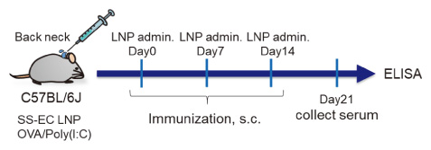 in vivo Antibody production
