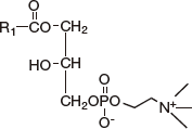 Lyso-Phosphatidylcholine