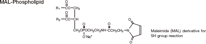 MAL-Phospholipid