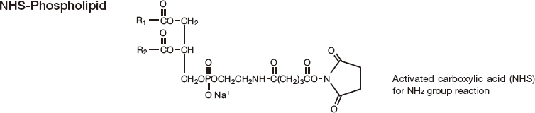 NHS-Phospholipid