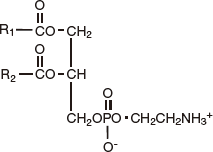 Phosphatidylethanolamine