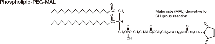 Phospholipid-PEG-MAL