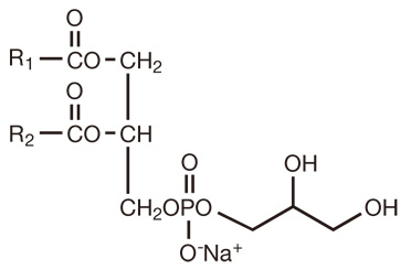 Phosphatidylglycerol