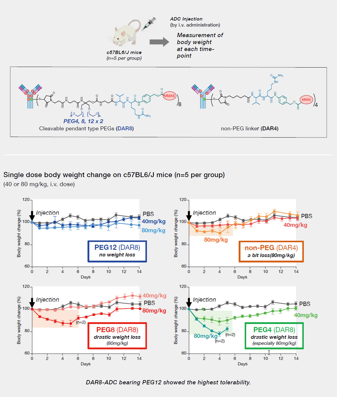 In vivo Single dose mice tolerability of ADCs