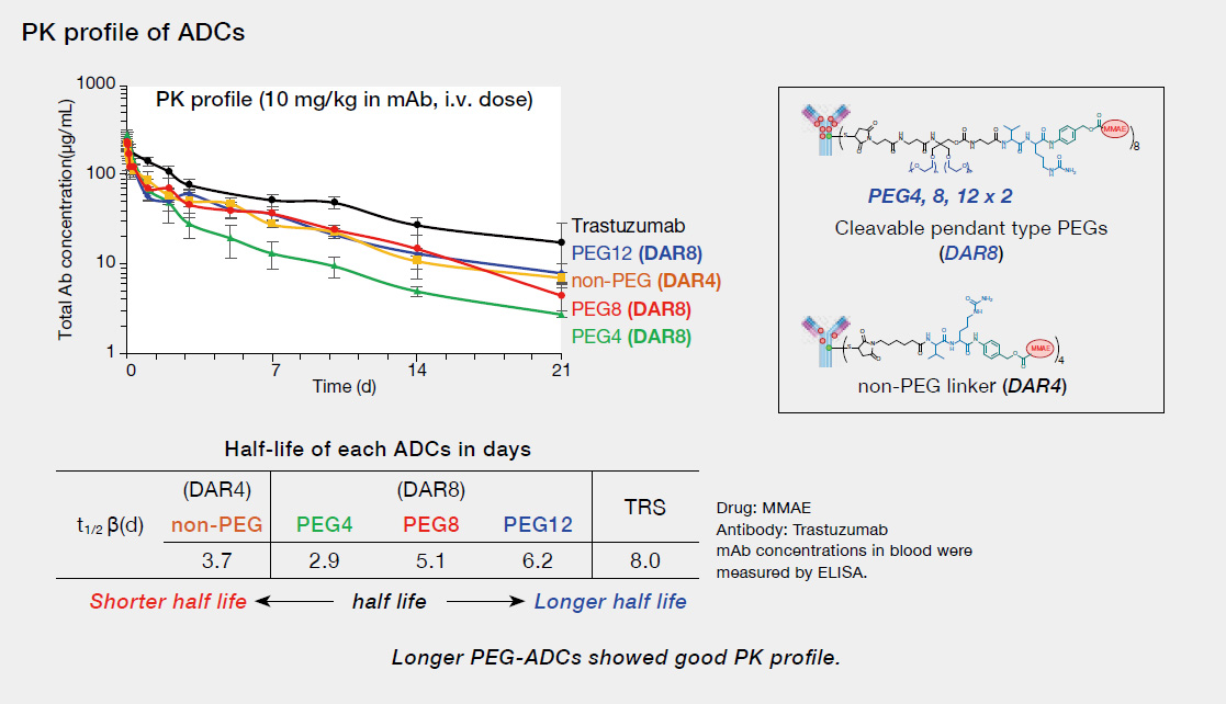 PK profile of ADCs