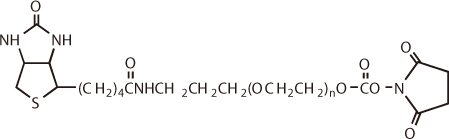 Biotin-PEG-Carbonate-NHS
