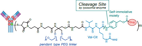 Cleavable Pendant Type PEG Linker