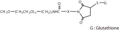 Hydrolysis stability of Maleimide-Thiol conjugate