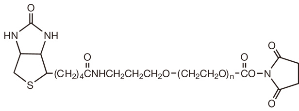 Biotin-PEG-Carbonate-NHS