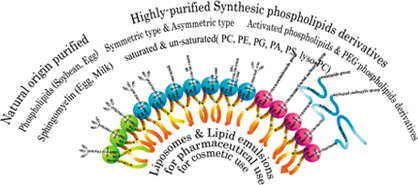 リポソーム用高純度リン脂質　COATSOMEシリーズ